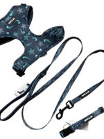 Leash