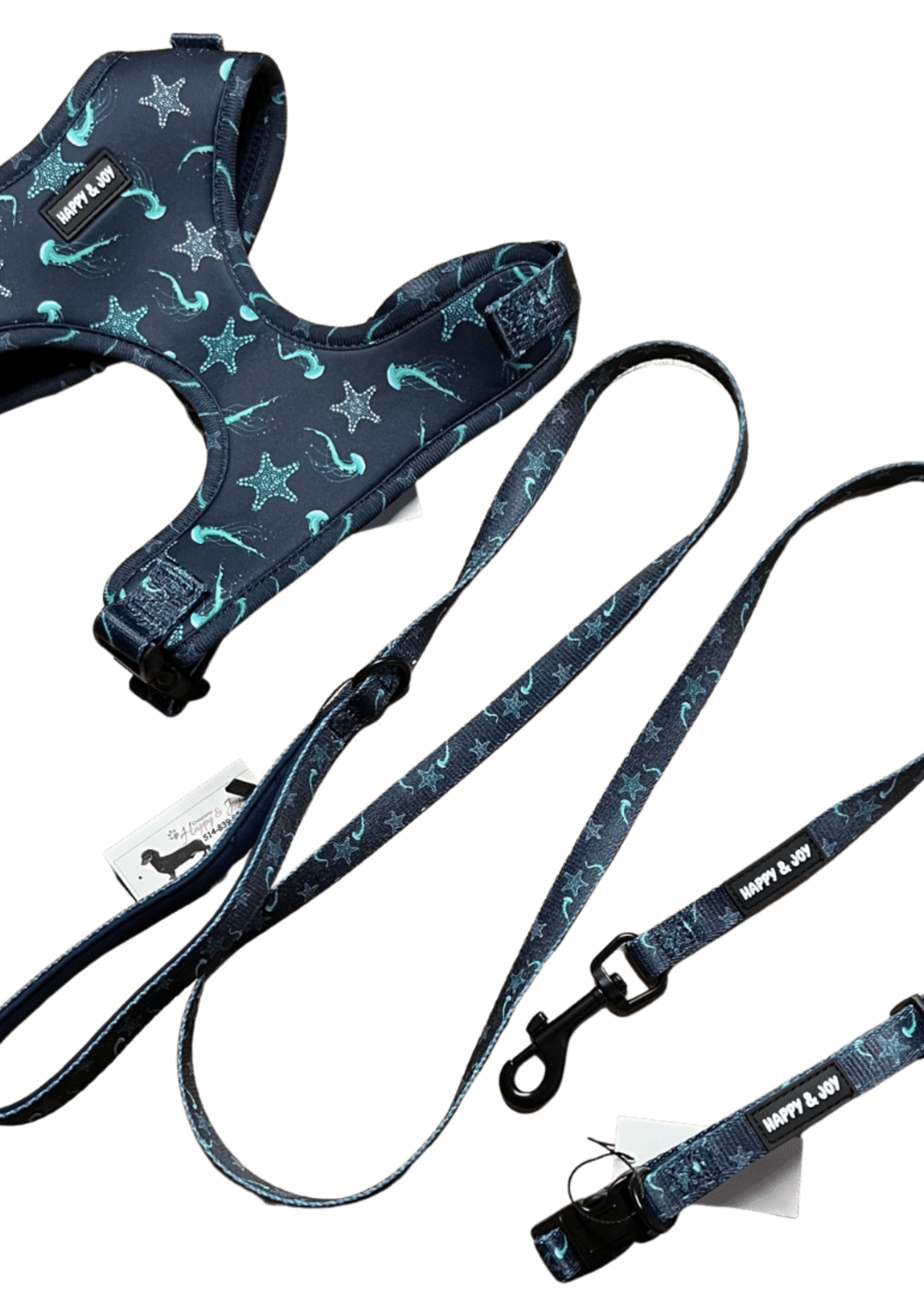 Leash