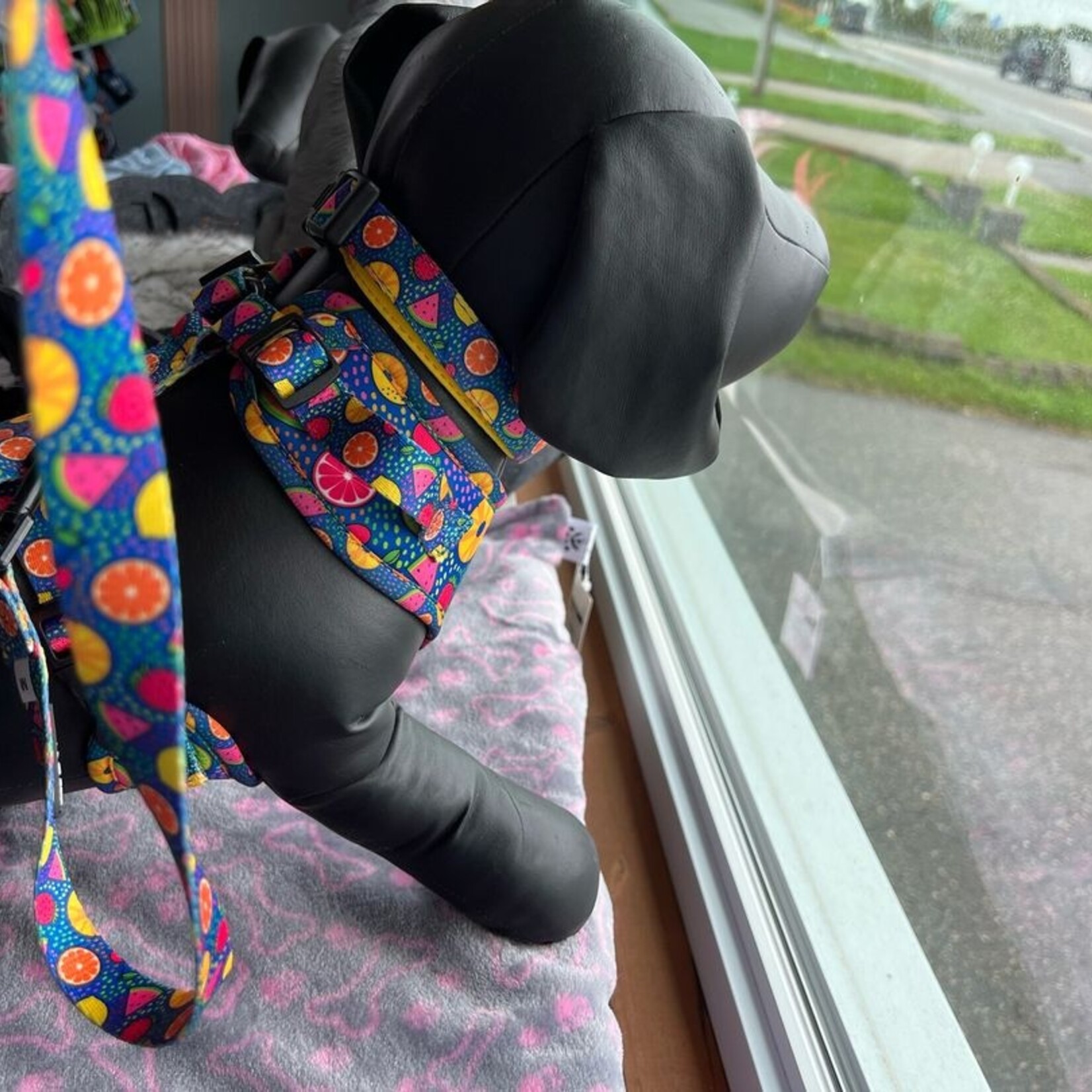 Adjustable harness for dog