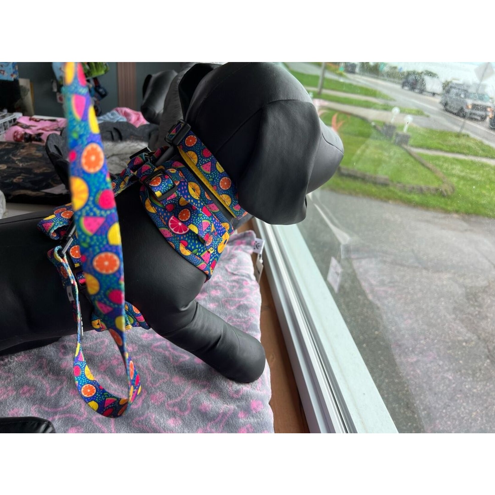 Adjustable harness for dog