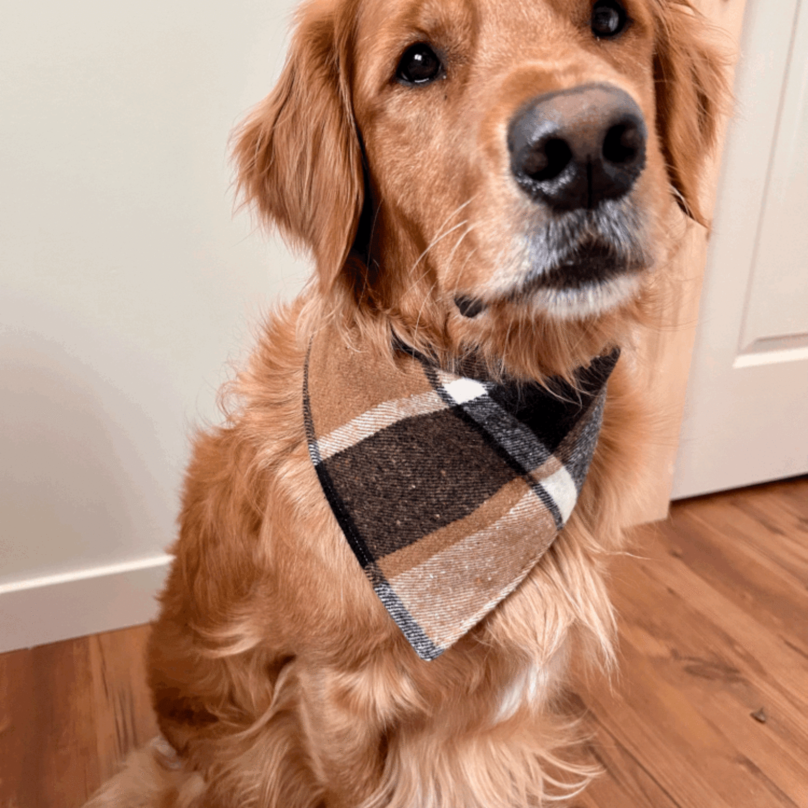 FOULARD CHAUD ET CHIC