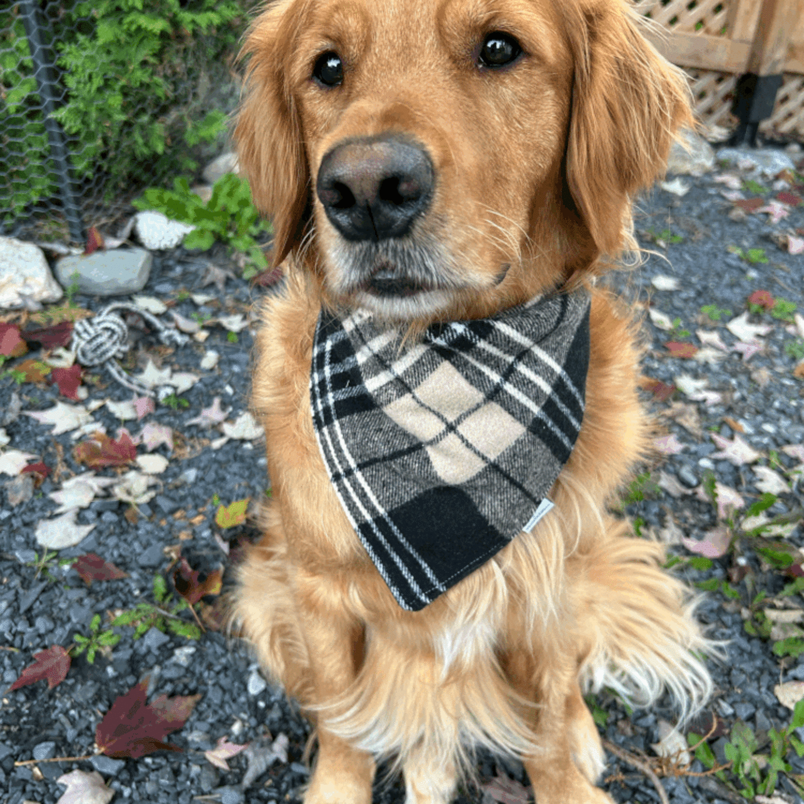 FOULARD CHAUD ET CHIC