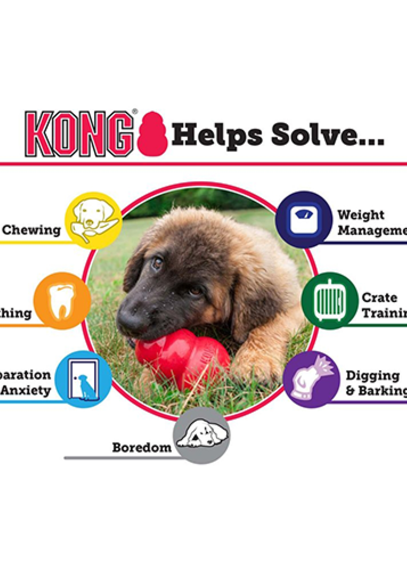 kong KONG EXTRÈME