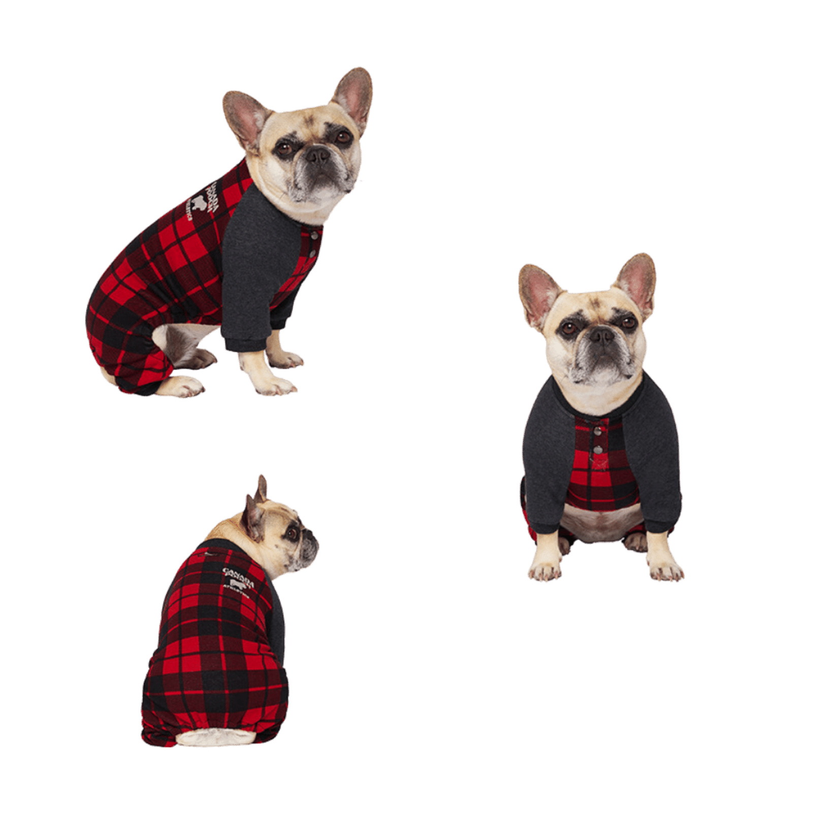 Combinaison Plaid Rouge pour Chien | Vêtement en Solde