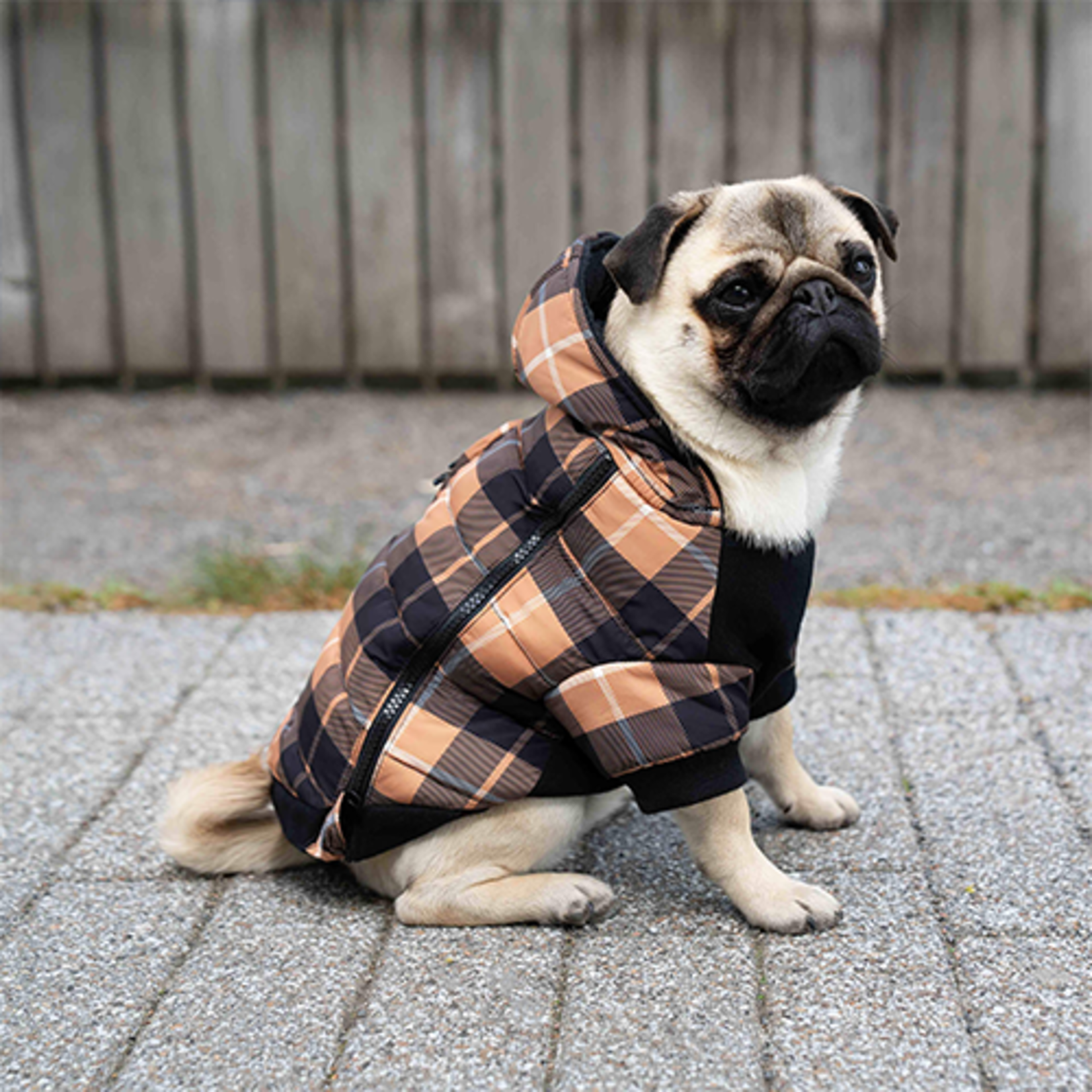 Warm dog coat: soft fleece and insulating faux down