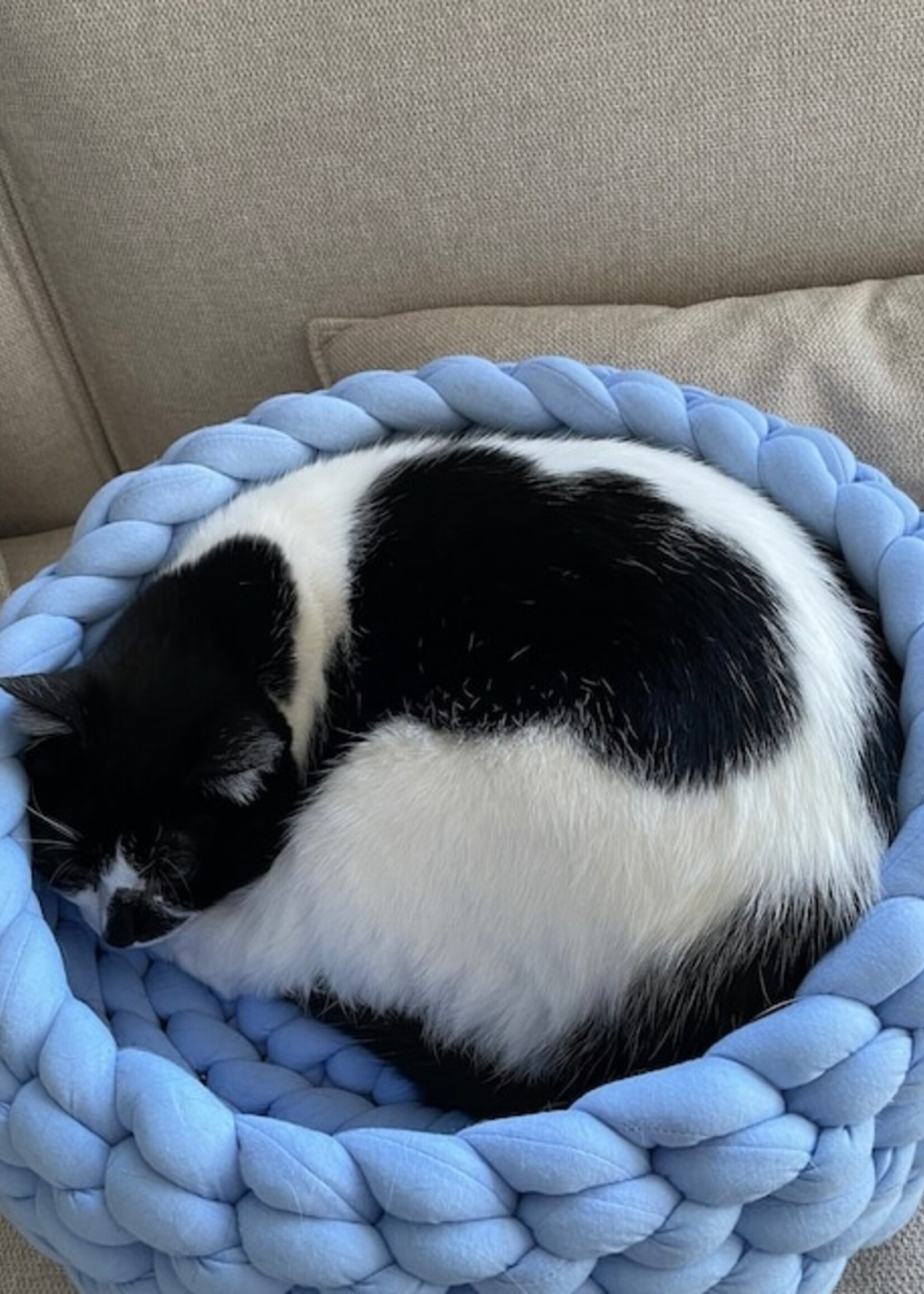 Basket for small dogs or cats | Handmade artisan basket made in Quebec