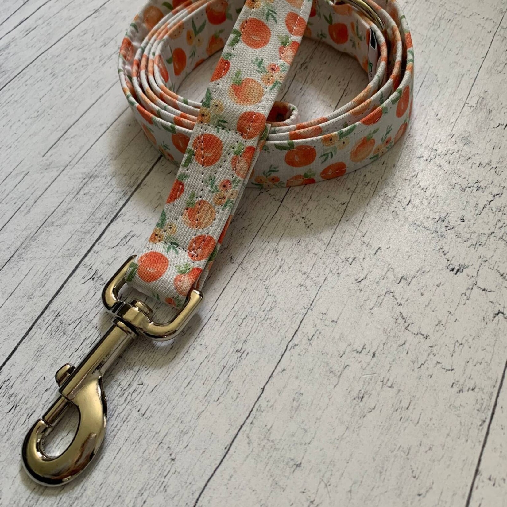 Laisse Moustache et Cie