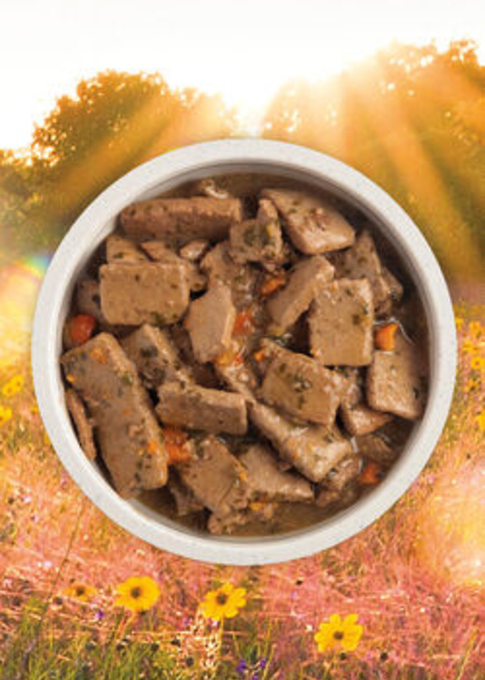 ACANA Beef Recipe with Bone Broth Wet Foods