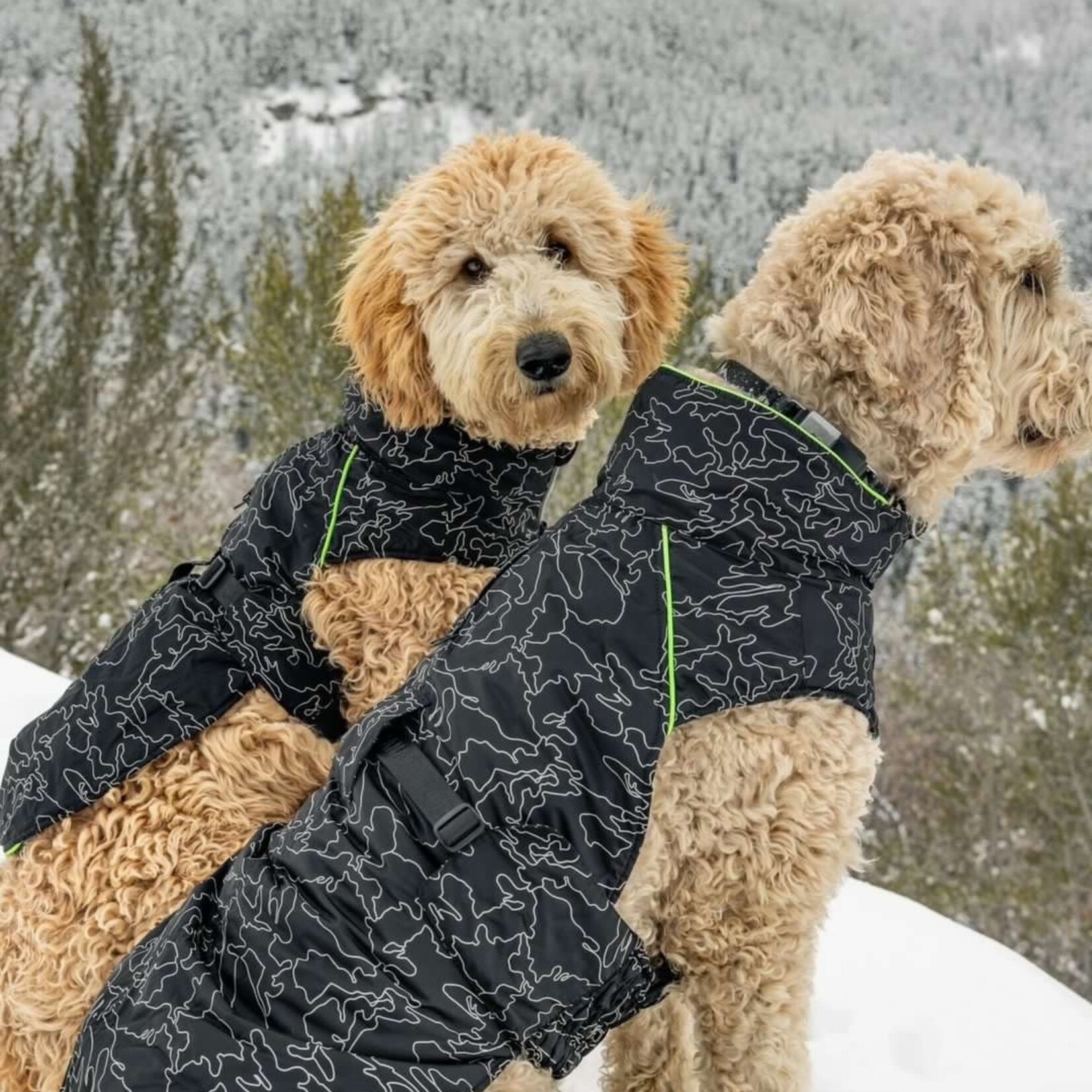 Manteau Chien Haute Visibilité | Gamme Expédition