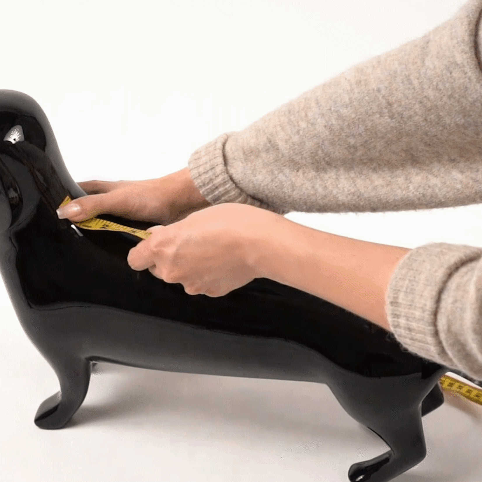 Manteau Chien Haute Visibilité | Gamme Expédition