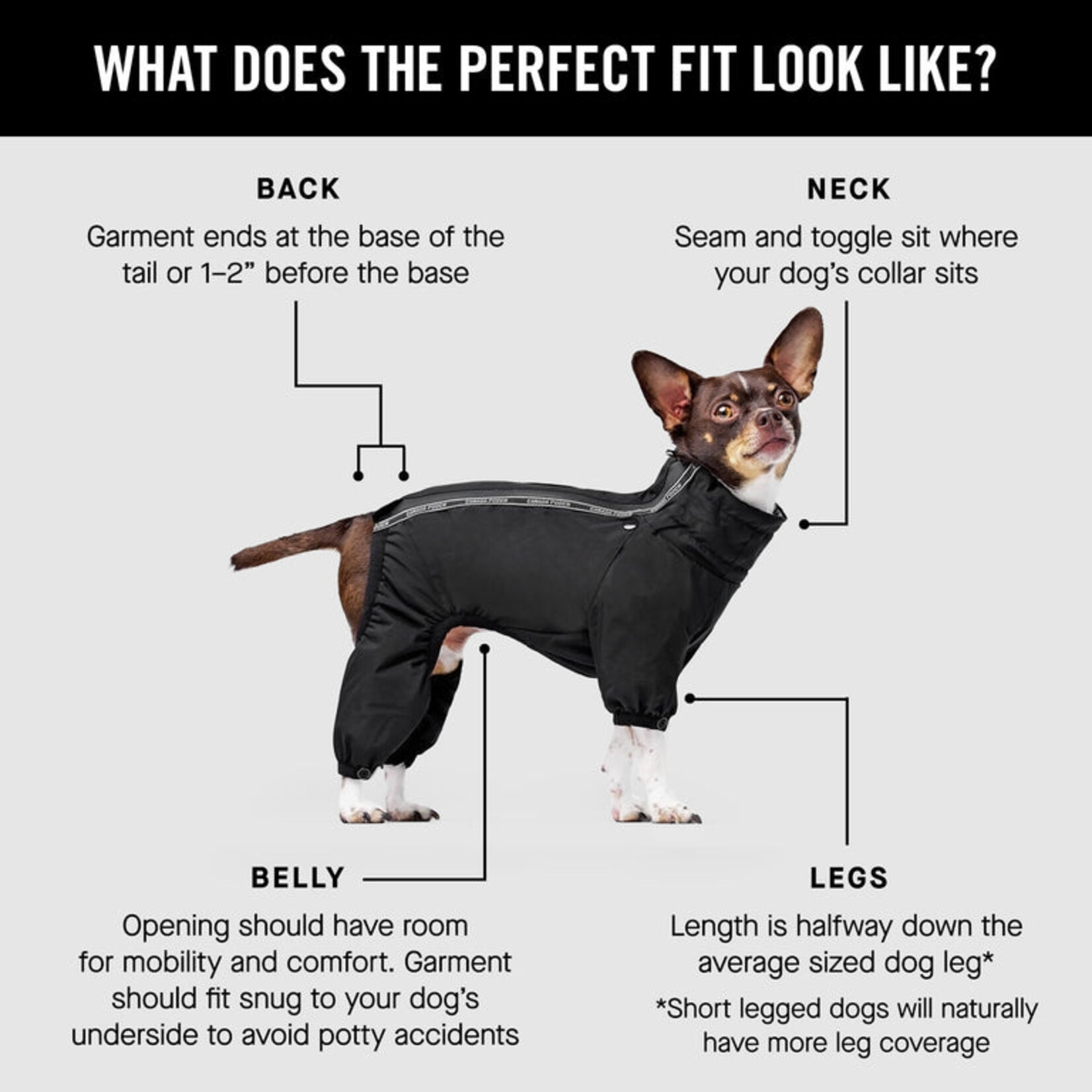 SNOW SUIT - Dog jumpsuit