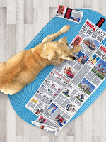 kong DAILY NEWSPAPER JOUET POUR CHIEN