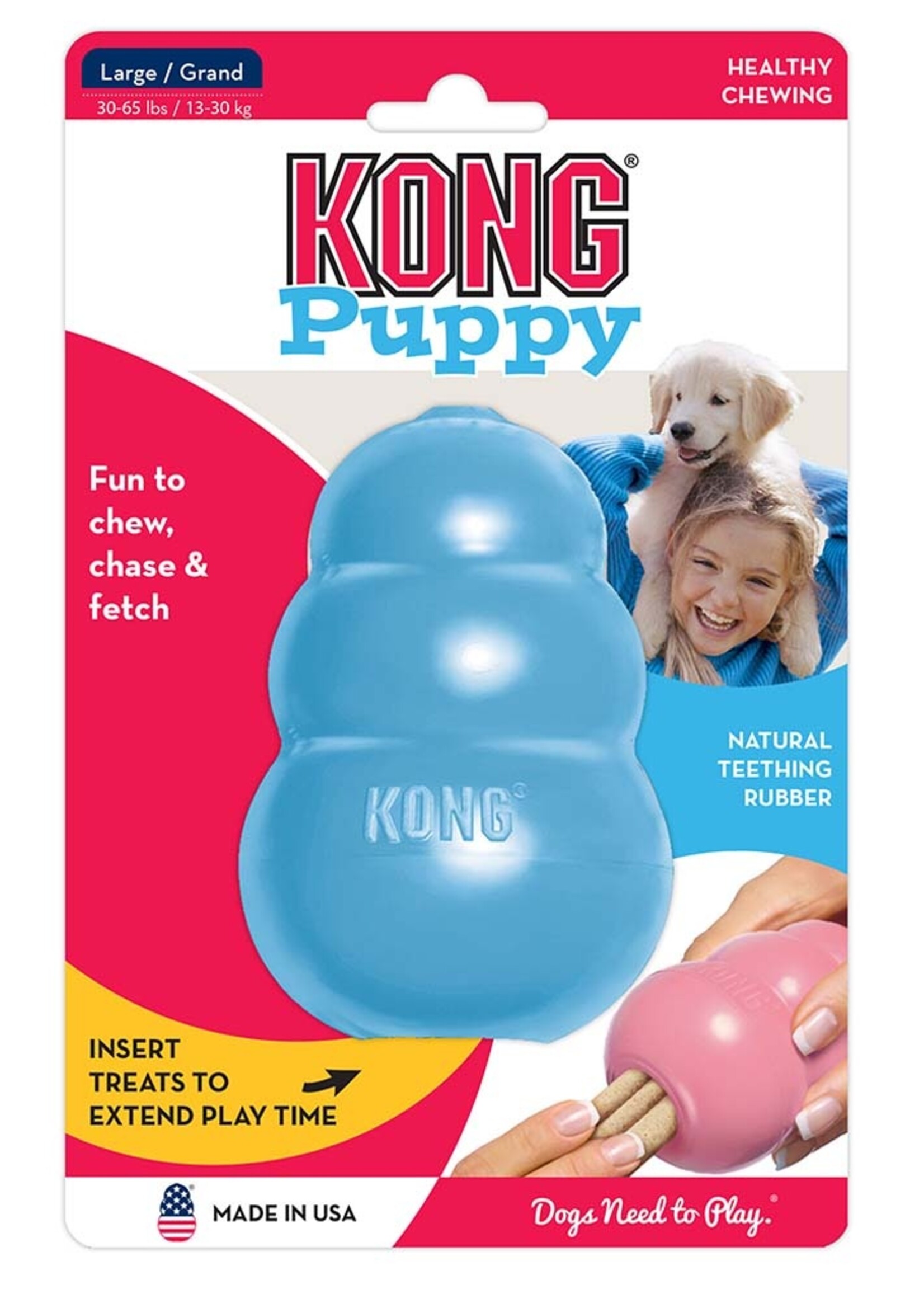 kong CHIOT