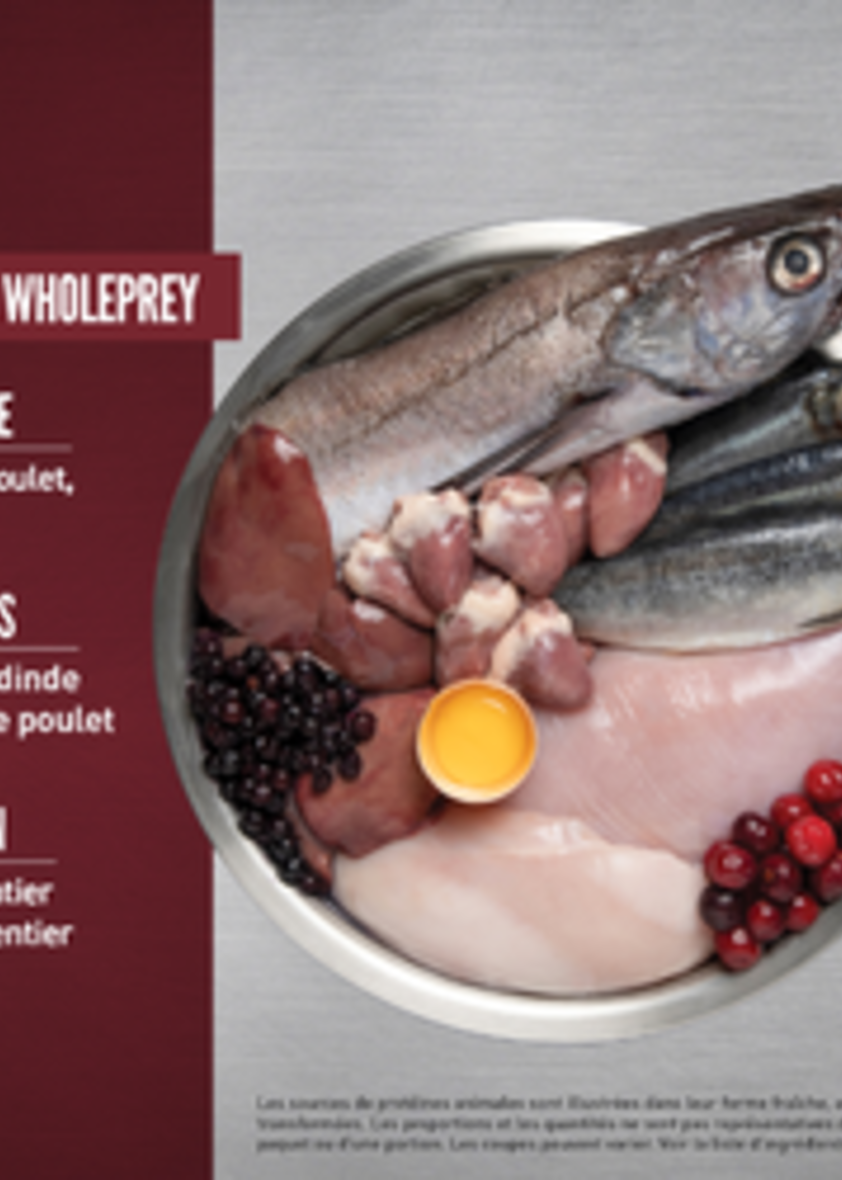 ORIJEN Small Breed Dry Dog Food