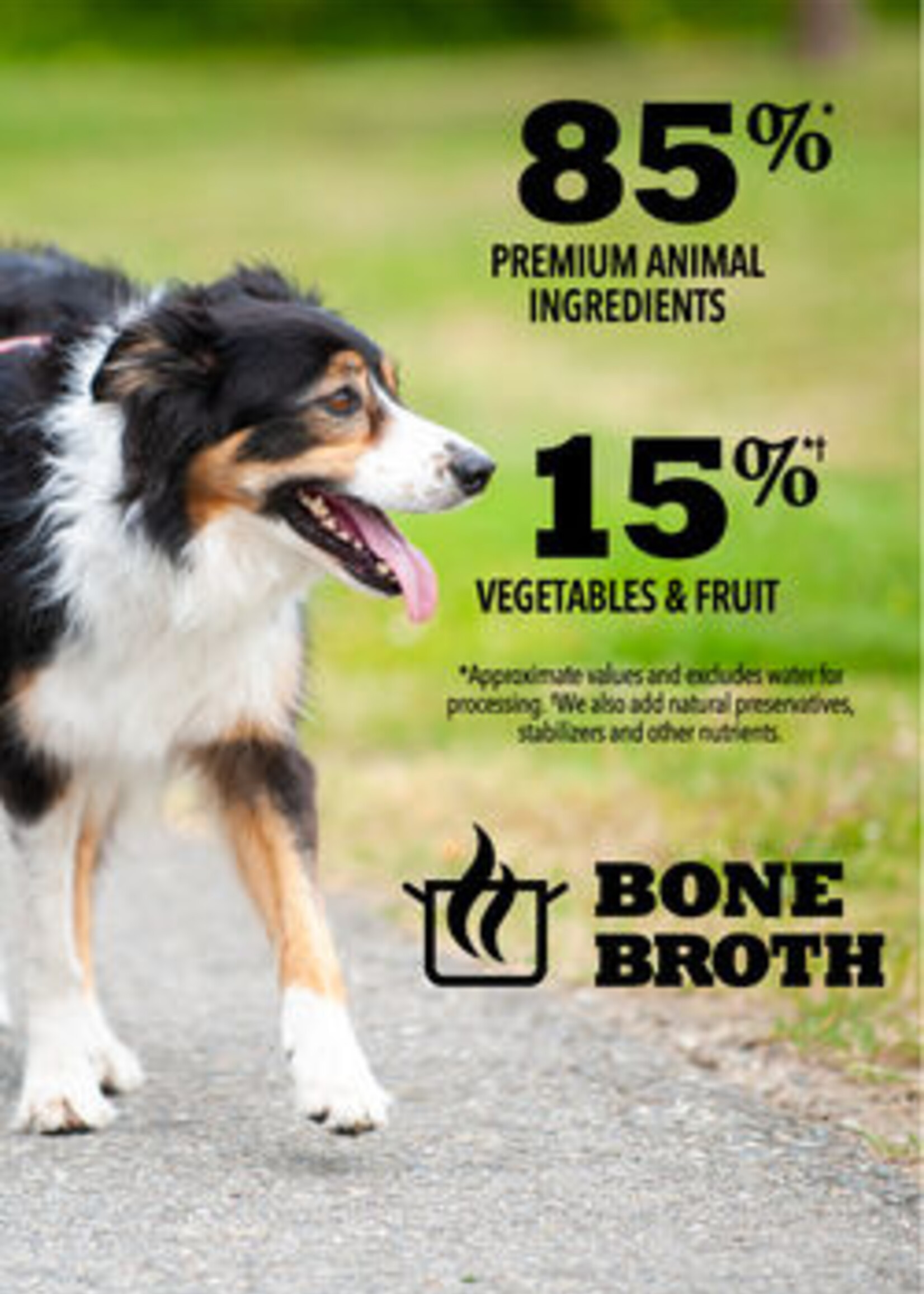 ACANA Poultry Recipe in a Bone Broth