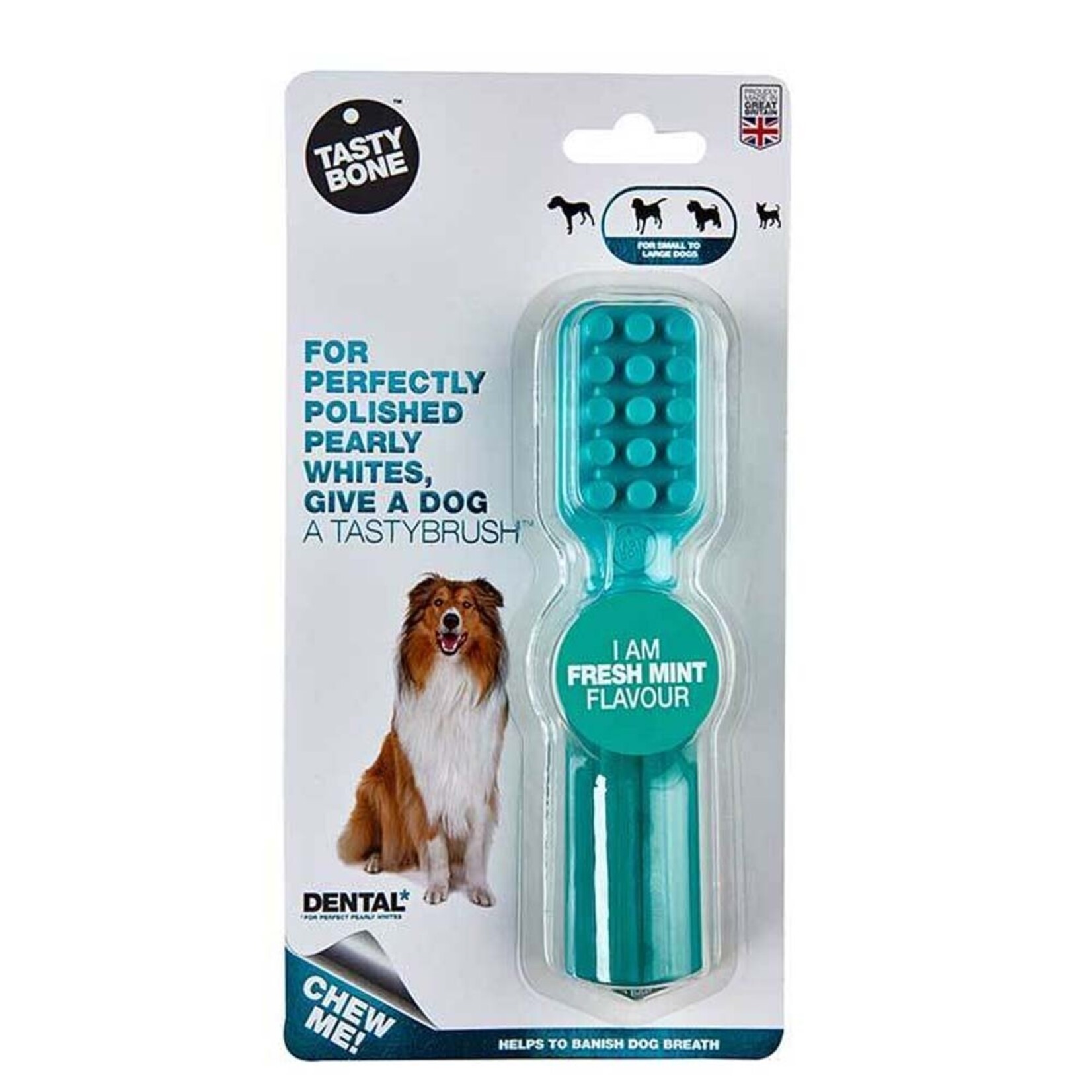 Jouet Dentaire - Nylon - Chien