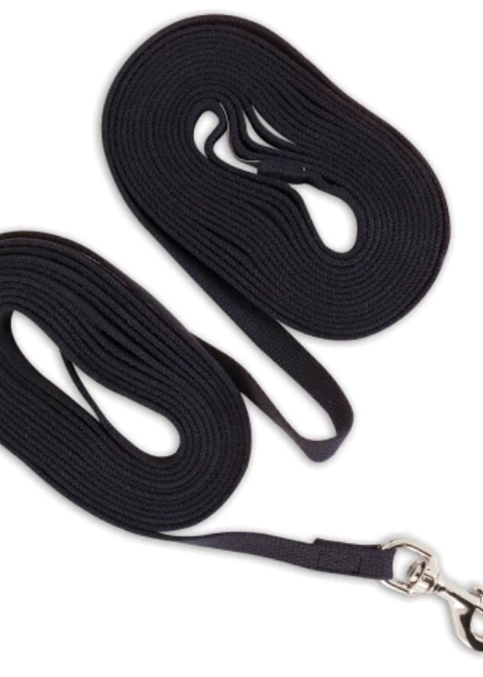 Laisse de dressage en coton