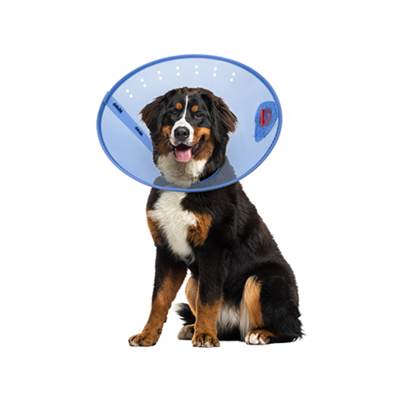 POST-SURGERY COLLAR