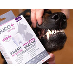 buco+ soins dentaires | chats et chiens -+ de 15 kg