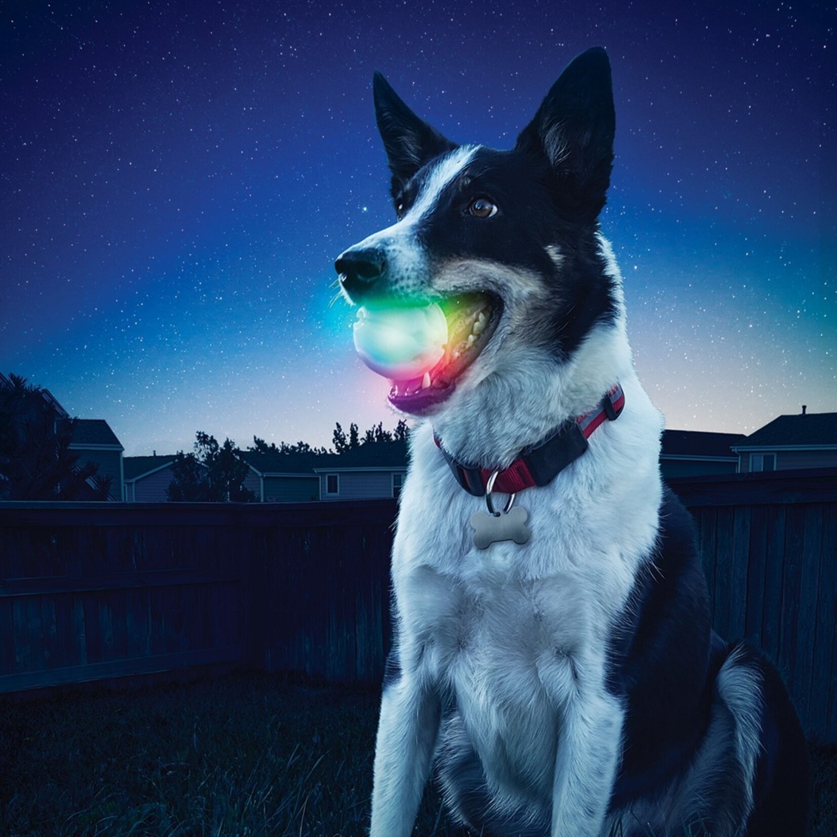 Jouet pour Chien Disc-O - Boule LED Lumineuse et Robuste