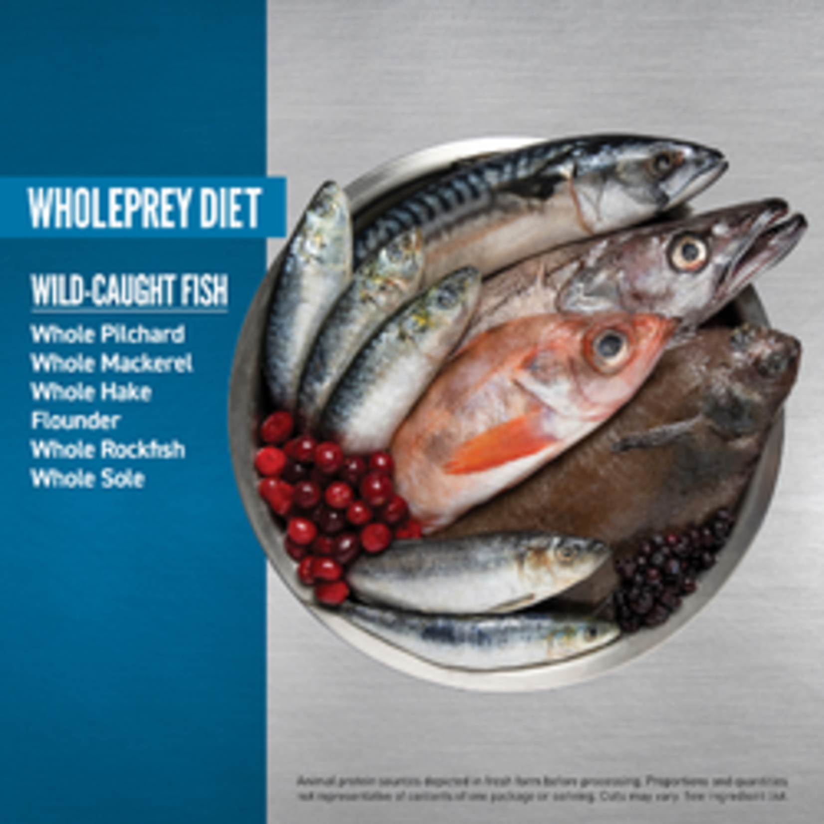 ORIJEN Six Fish Dry Dog Food