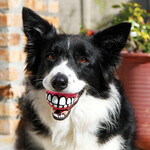 kong BALLE SOURIRE