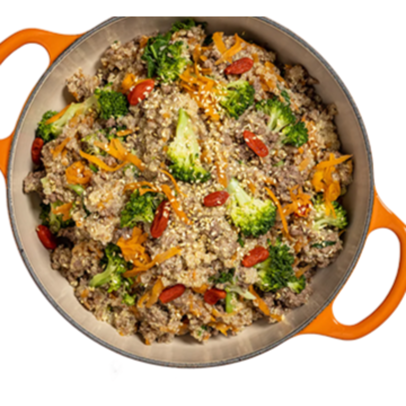 BŒUF ET BROCOLI CUITS DOUCEMENT REPAS SURGELÉS POUR CHIENS
