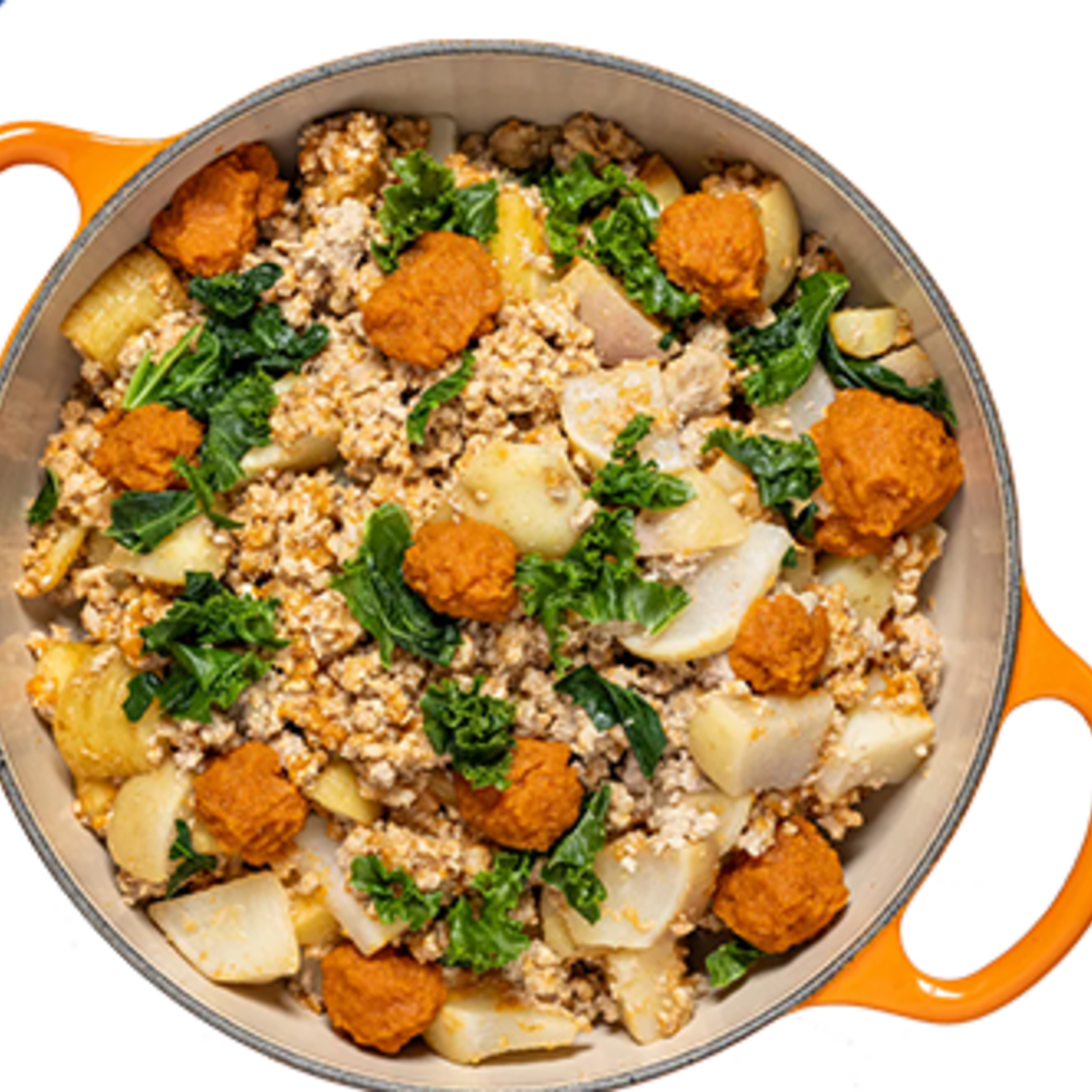 RAGOÛT DE PORC CLASSIQUE REPAS SURGELÉS CUITS DOUCEMENT POUR CHIENS