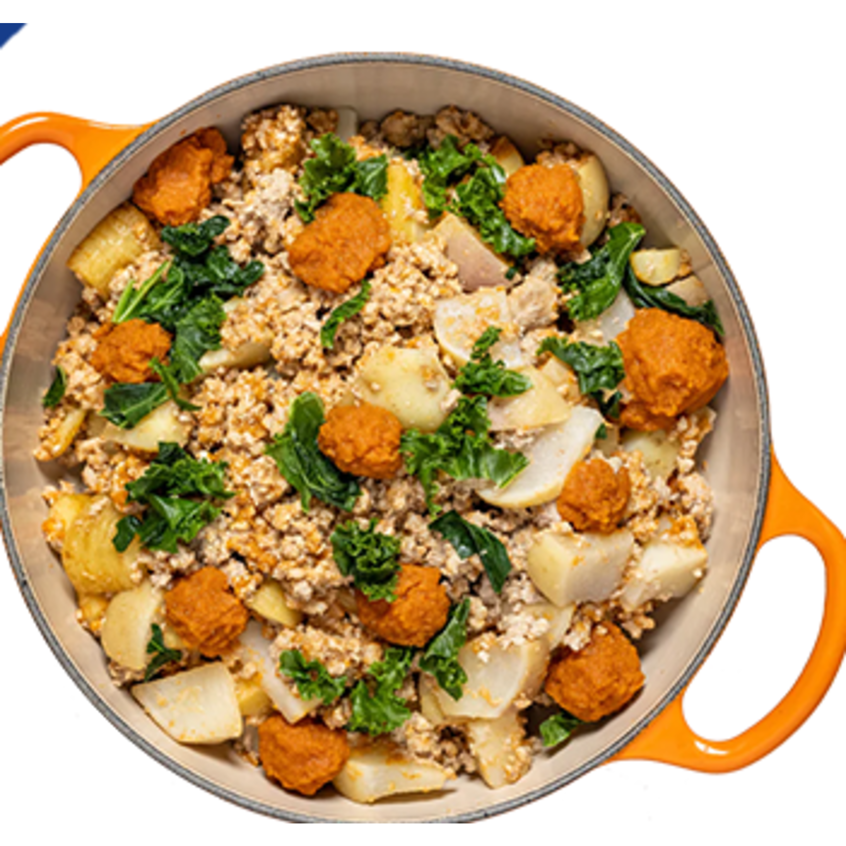 RAGOÛT DE PORC CLASSIQUE REPAS SURGELÉS CUITS DOUCEMENT POUR CHIENS