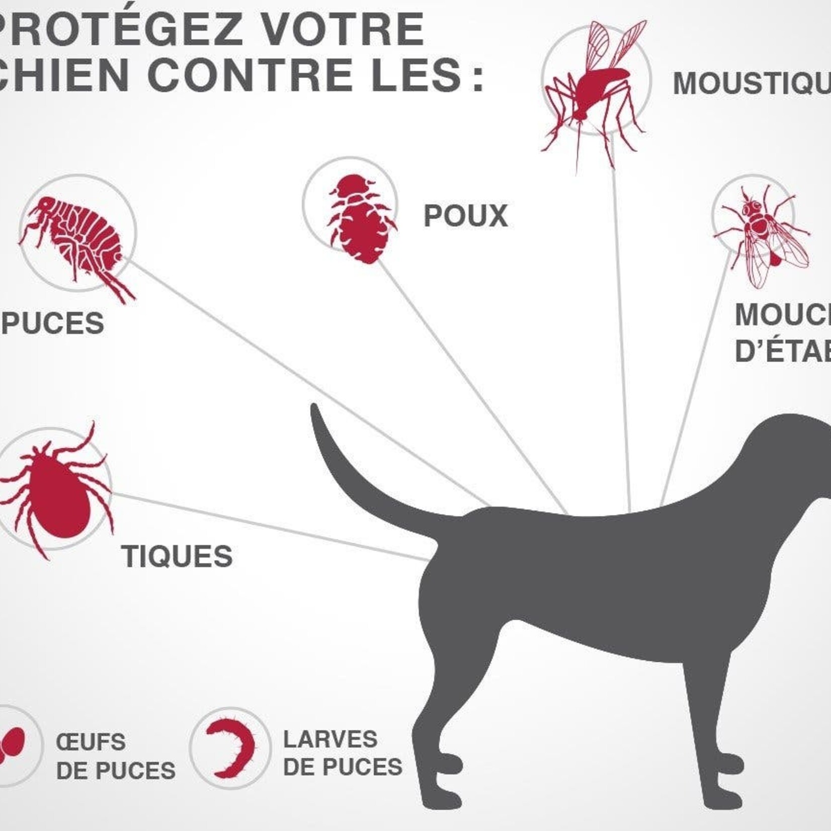 K9 Advantix®II Traitement topique contre les puces et les tiques pour chiens