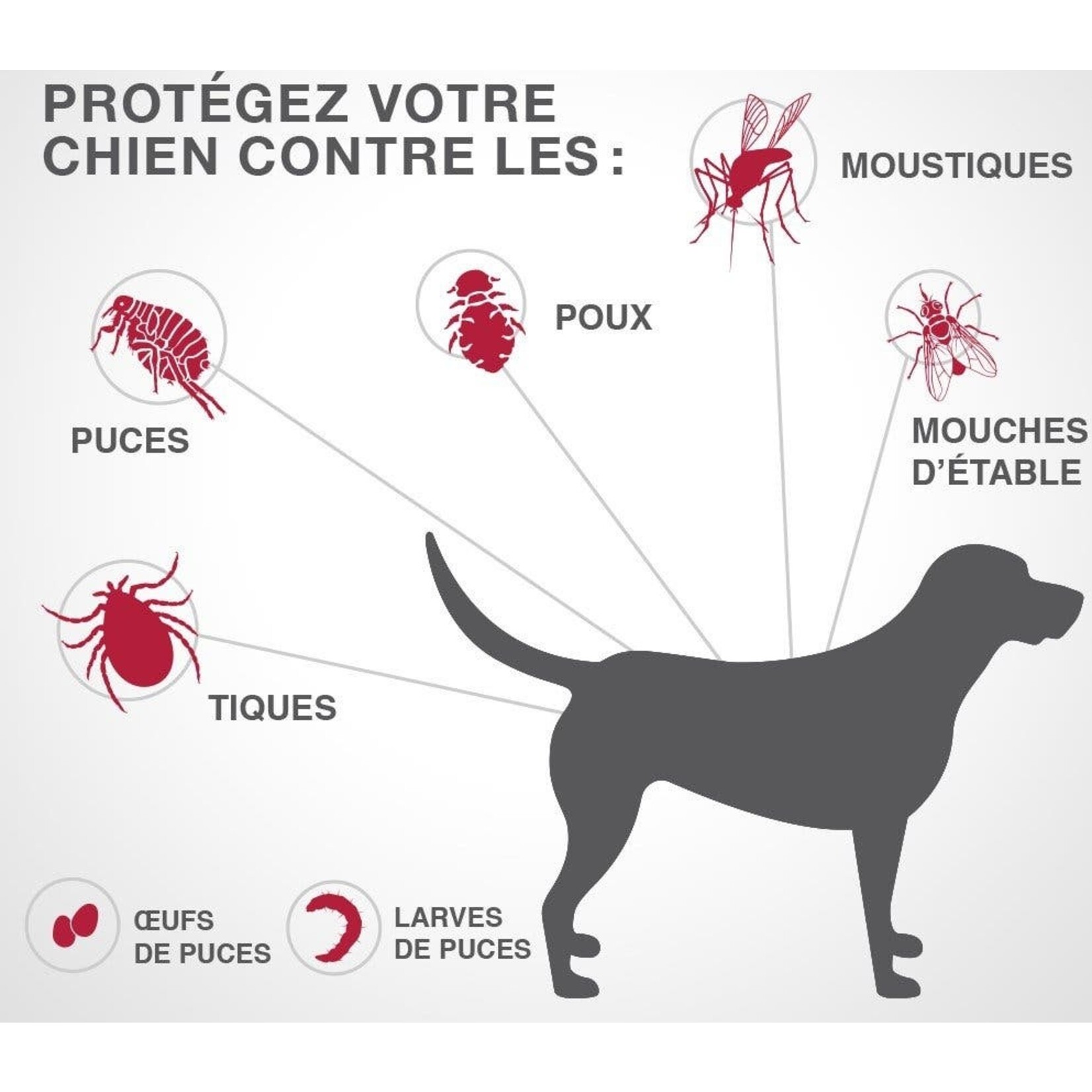 K9 Advantix®II Traitement topique contre les puces et les tiques pour chiens