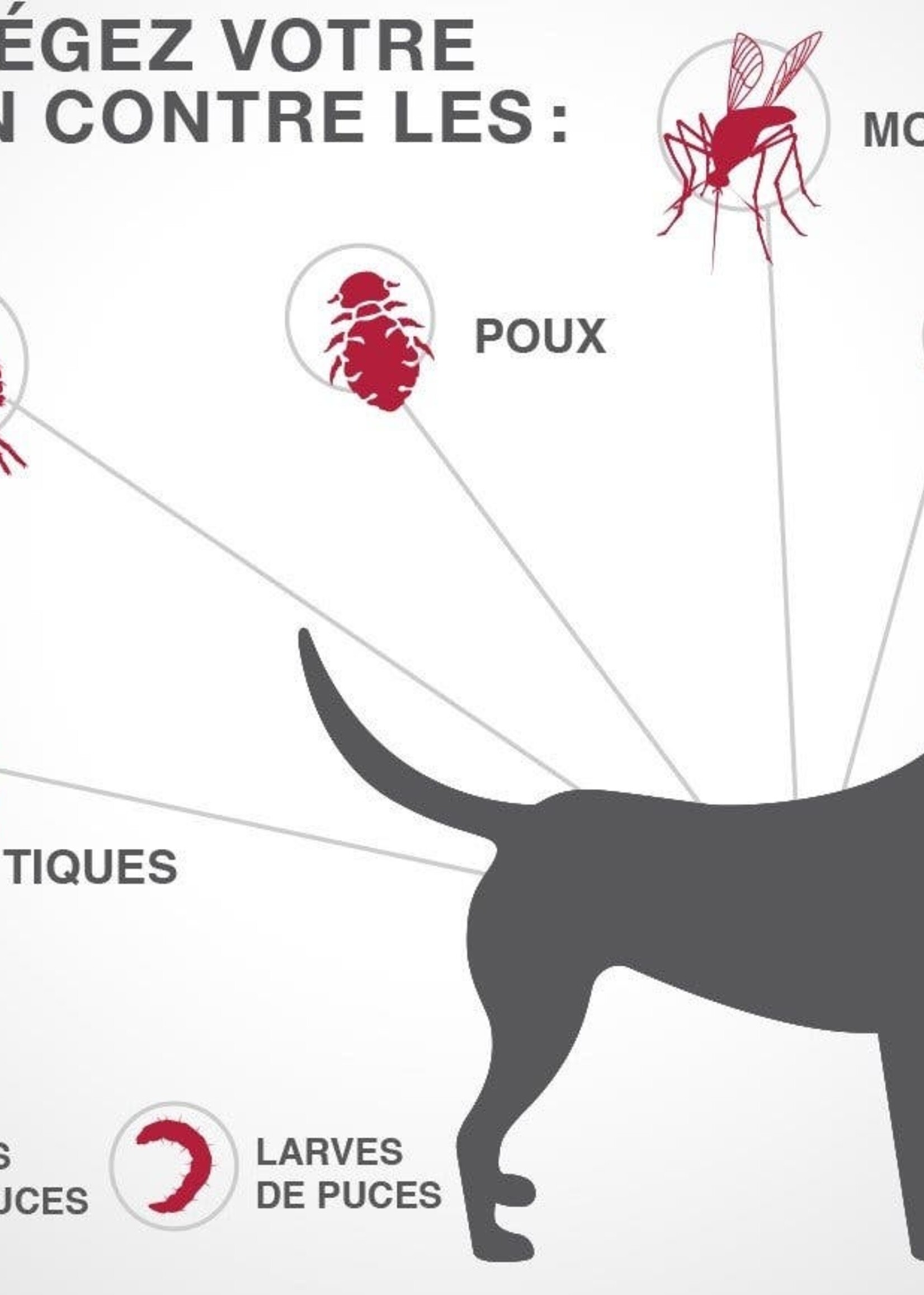 K9 Advantix®II Topical Flea and Tick Treatment for Dogs