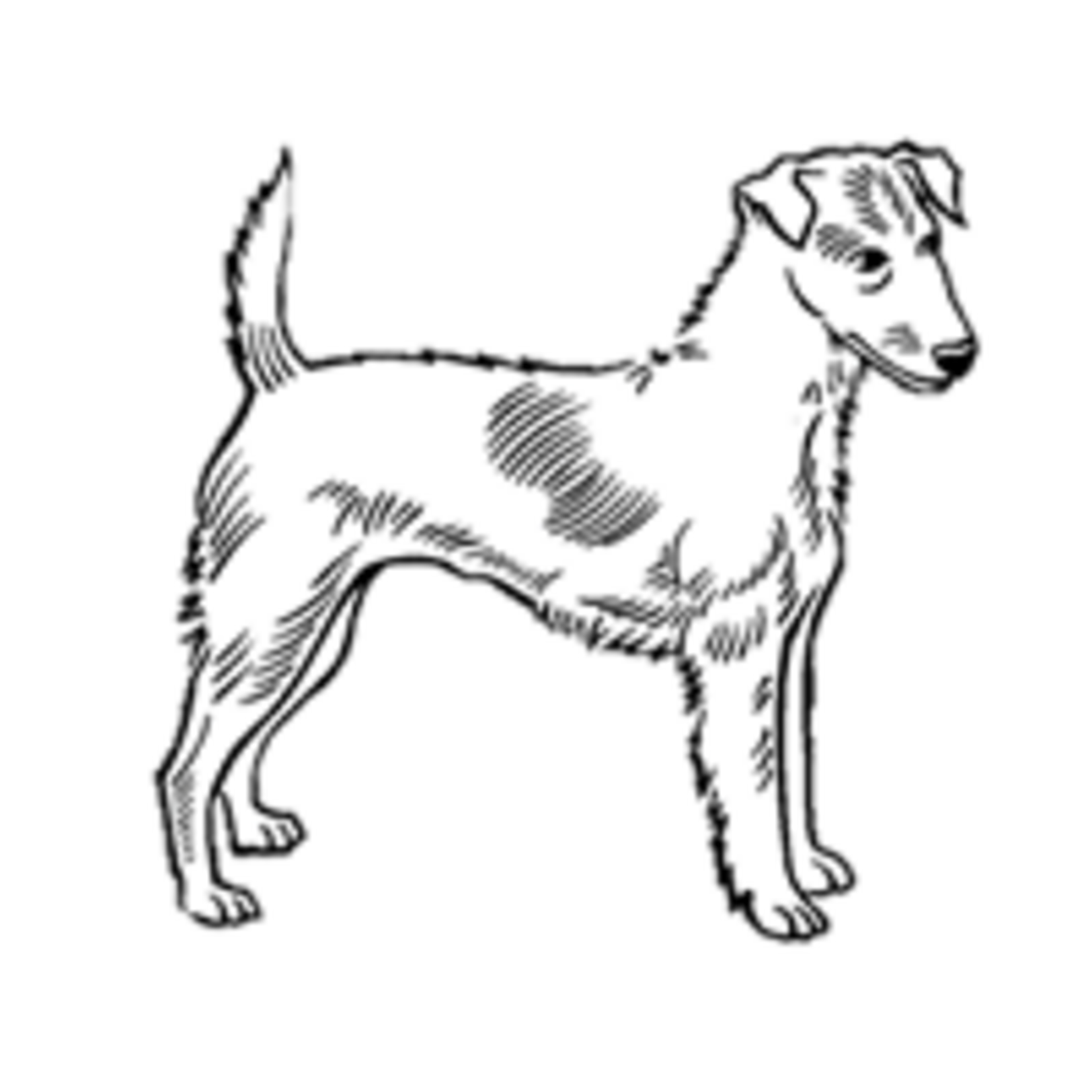 K9 Advantix®II Topical Flea and Tick Treatment for Dogs