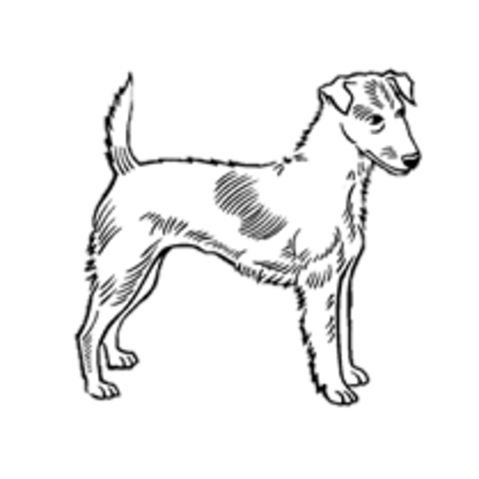K9 Advantix®II Traitement topique contre les puces et les tiques pour chiens