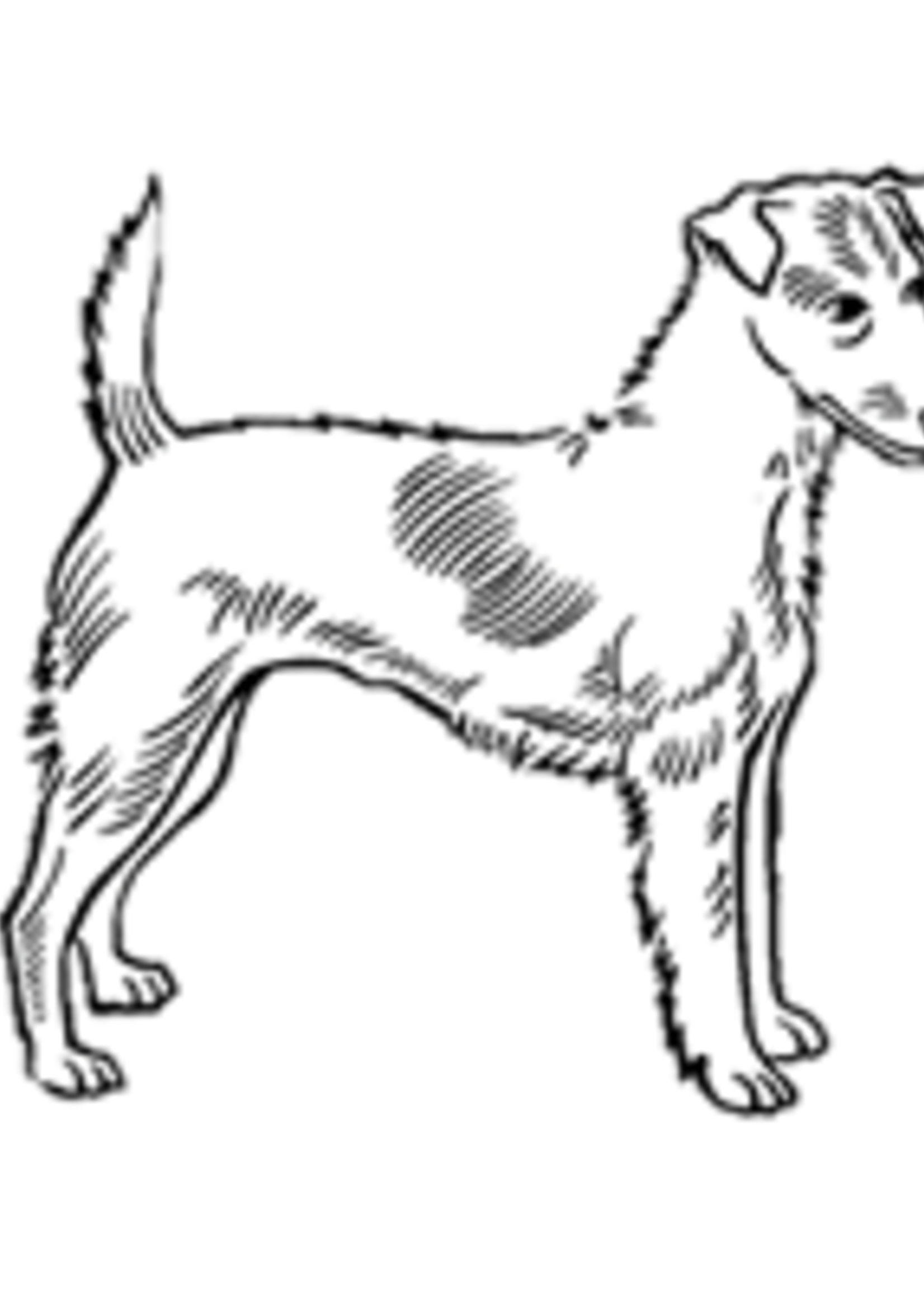 K9 Advantix®II Topical Flea and Tick Treatment for Dogs