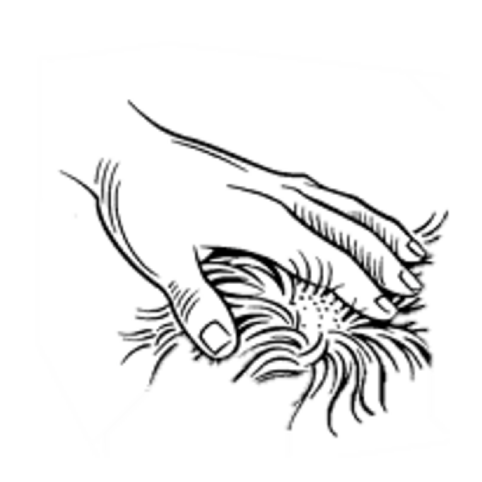 K9 Advantix®II Traitement topique contre les puces et les tiques pour chiens