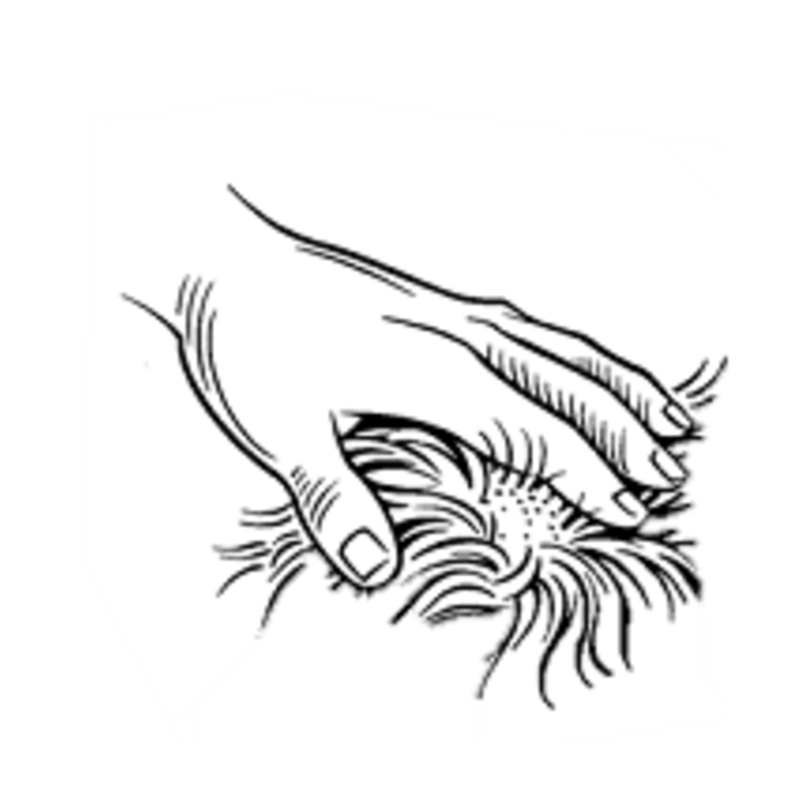 K9 Advantix®II Topical Flea and Tick Treatment for Dogs