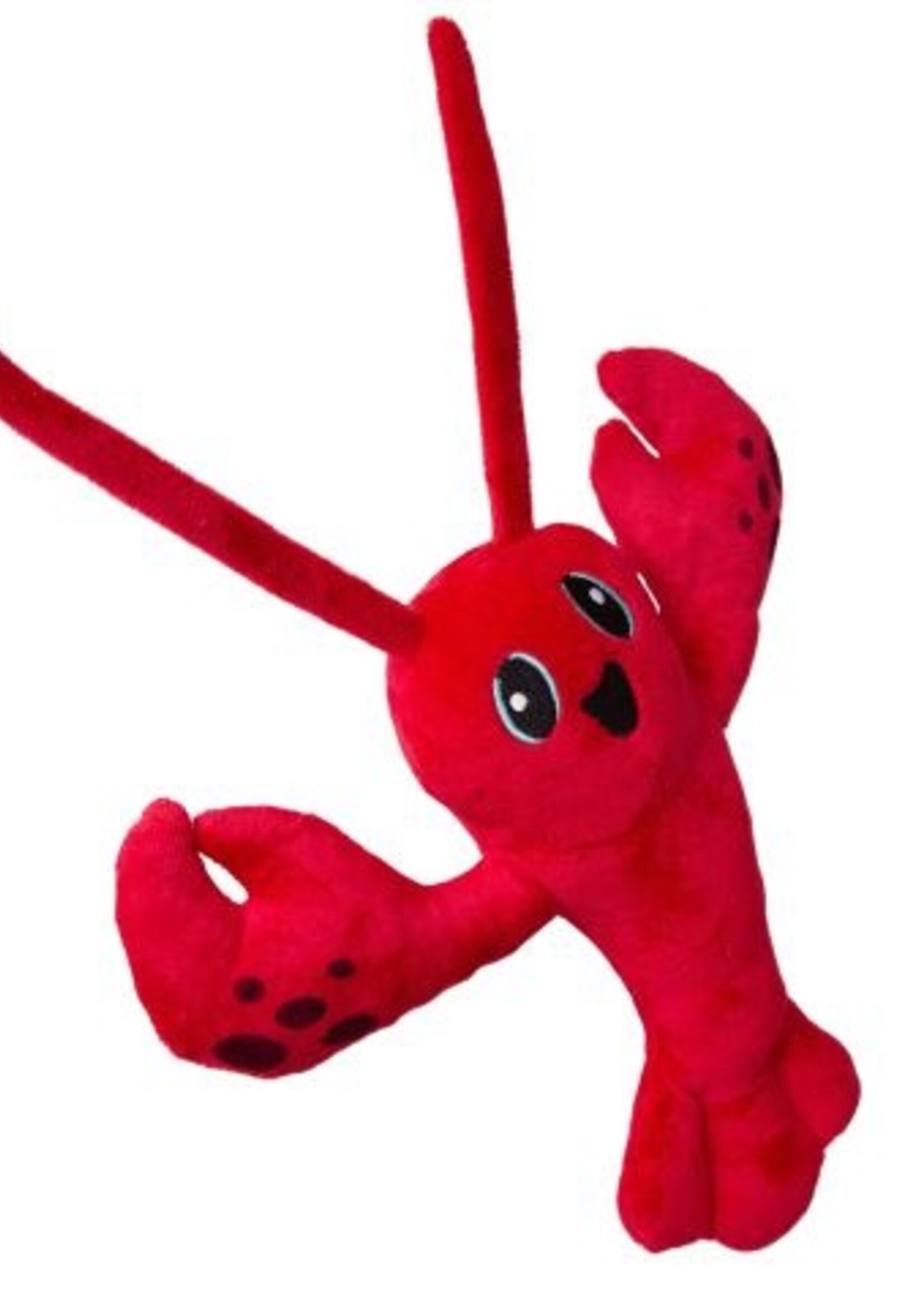 The Lobster Luca