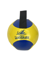 Volleyball Dog Toy