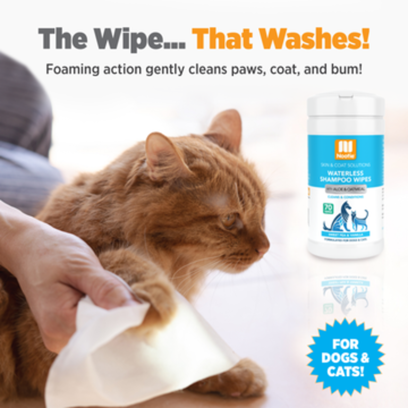 LINGETTES SHAMPOING SANS EAU À L'ALOÈS ET À L'AVOINE
