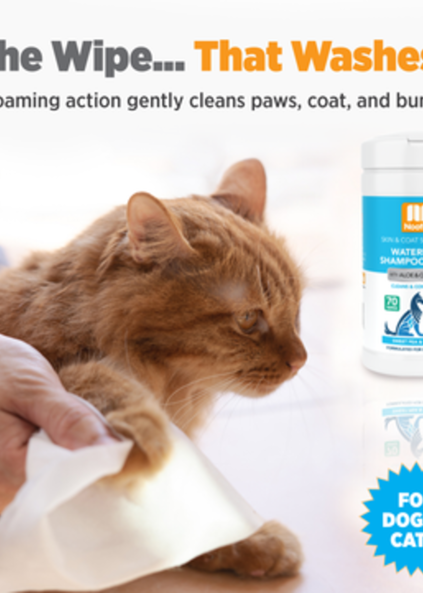 LINGETTES SHAMPOING SANS EAU À L'ALOÈS ET À L'AVOINE