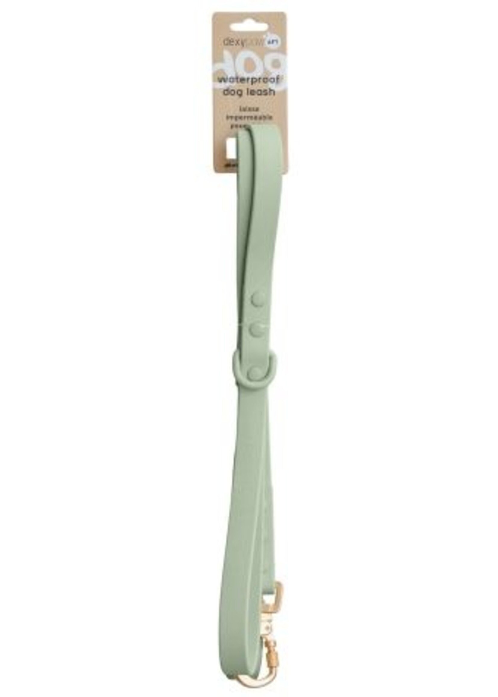 Laisse "mains Libre" Imperméable Pour Chien, Couleur Vert Sauge