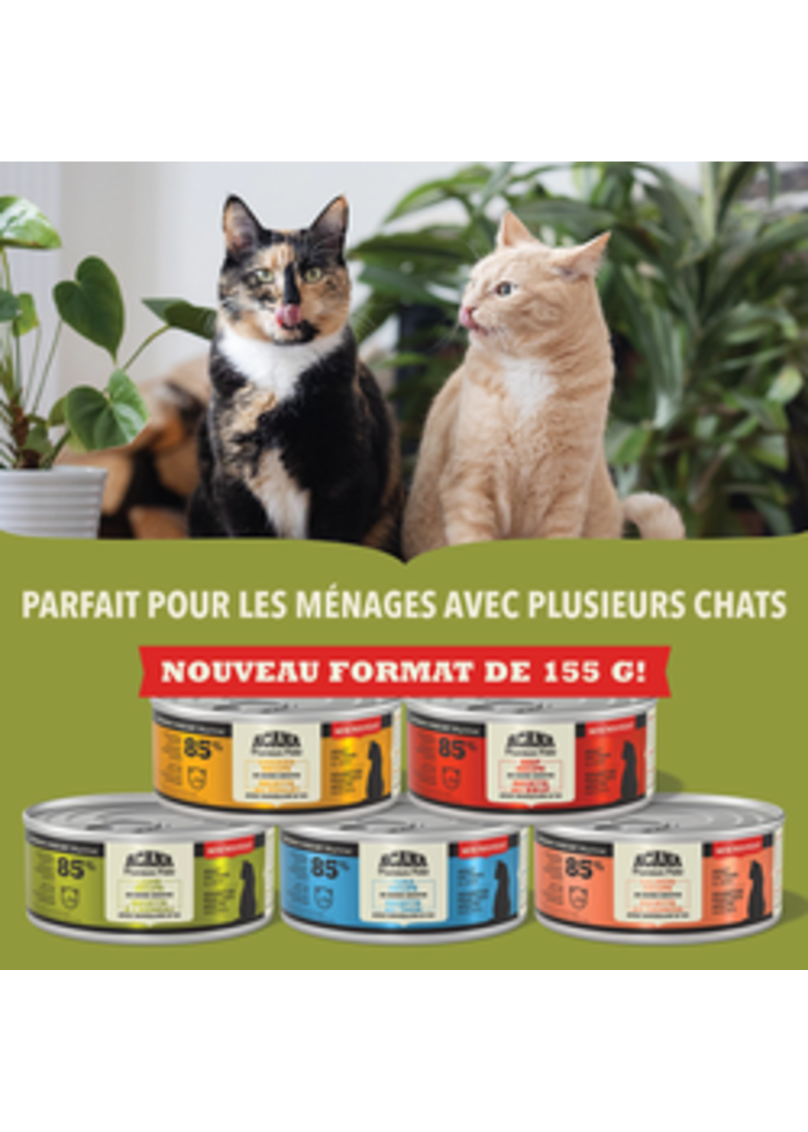 PÂTÉ, RECETTE AU POULET POUR CHAT