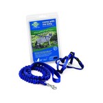 Harnais Et Laisse Bungee Pour Chat