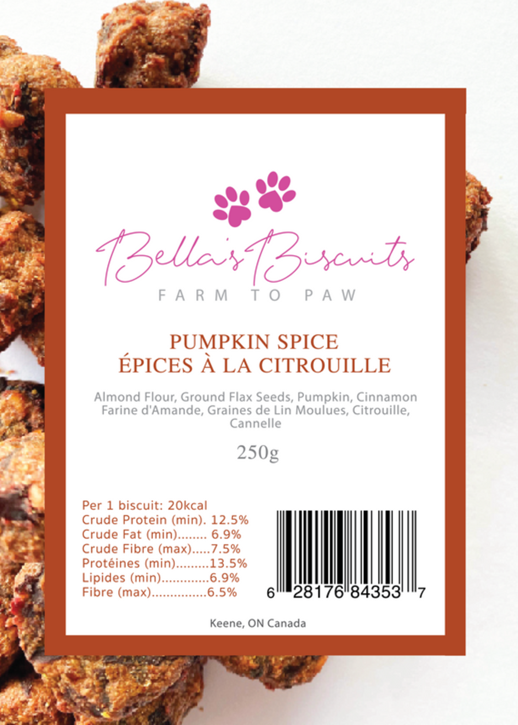 Biscuits pour chiens épices à la citrouille