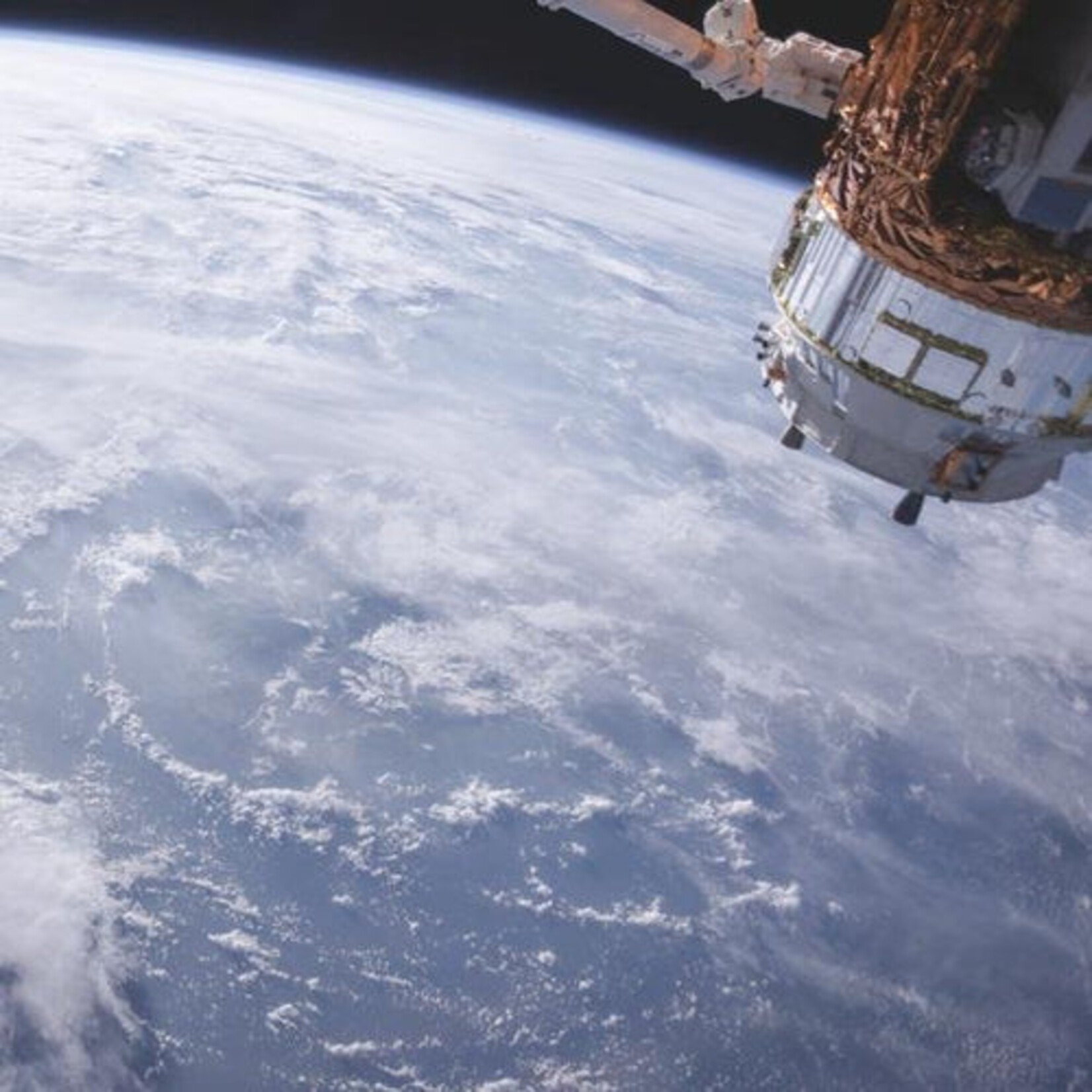 Couvercle de canette en silicone