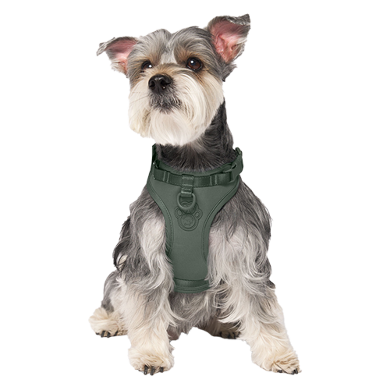 HARNAIS AVEC DISTRIBUTEUR DE SACS A CROTTES