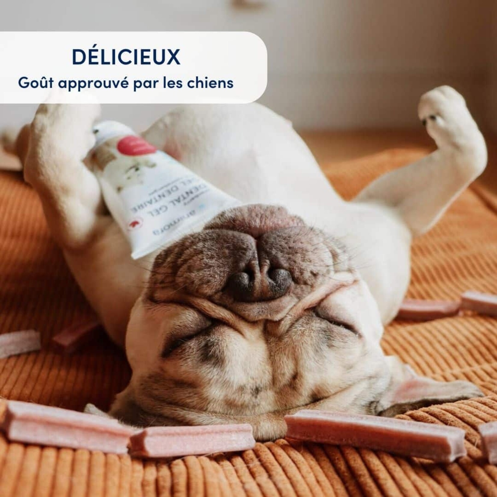 Cranberry Dental Sticks For Dog