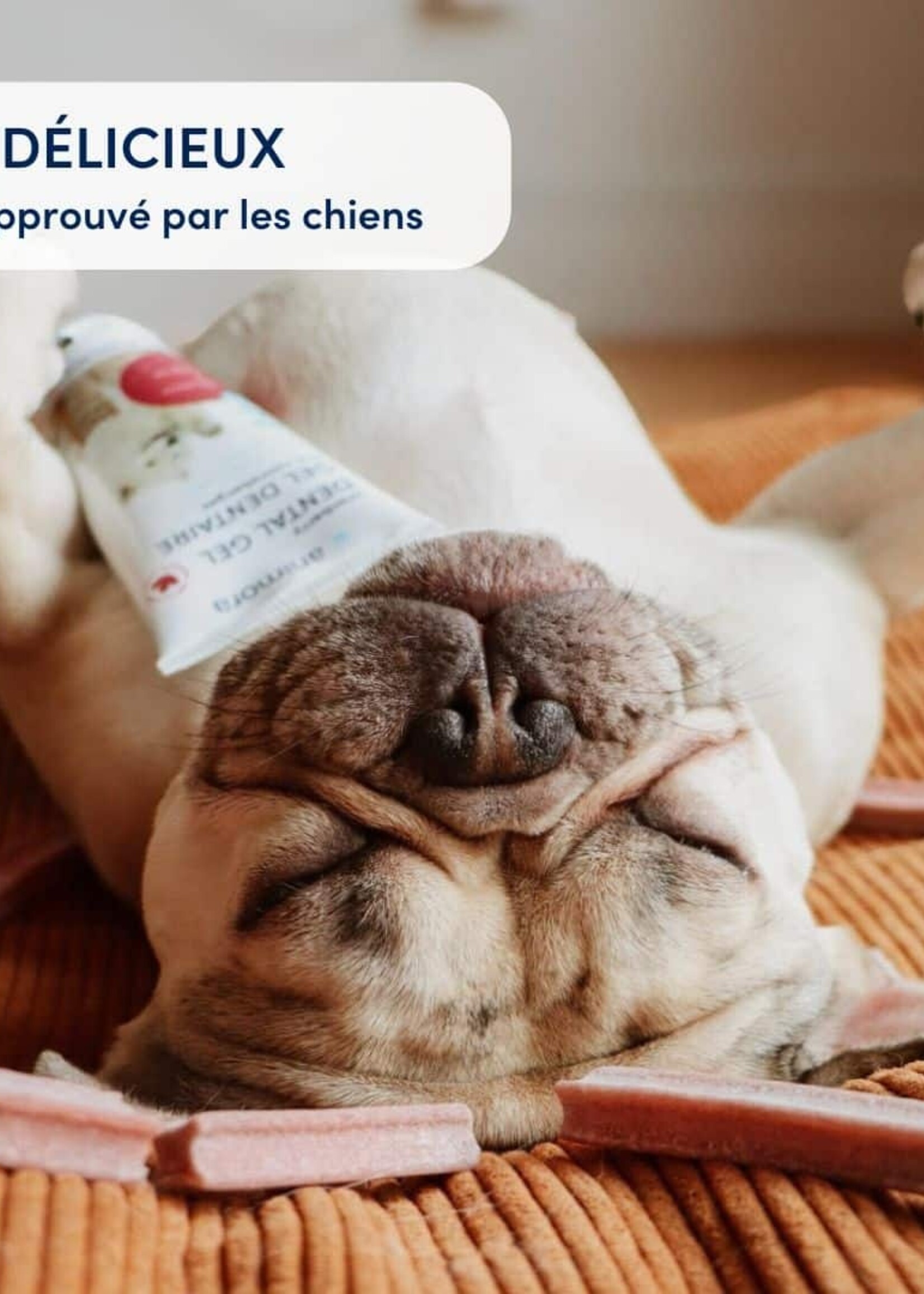 Cranberry Dental Sticks For Dog
