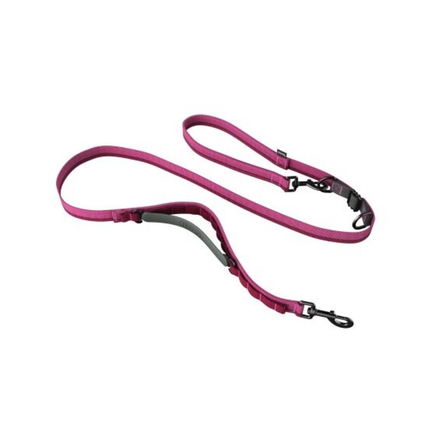 Laisse Multifonctionnelle Pour Chien